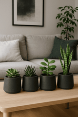 4x Patt Black Washed Pflanzkübel Schwarz aus Fiberclay in Beton-Optik