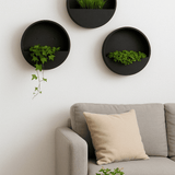 Hanging Wally 3er Set Ø 50 Finestgreen