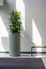 Turris Ionic - Salbeigrün Finestgreen