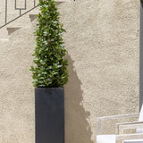 Lorbeer Kunstpflanze L 150cm - Finestgreen