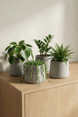 4x Patt Grey Washed Pflanzkübel Grau aus Fiberclay Ø:20 cm || Abgebildete Größen: L Ø:20 x H:16,5 cm