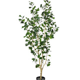 Ficus Triangularis Baum Kunstpflanze L 180cm - Finestgreen