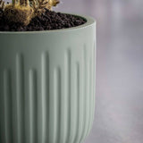 Arcus Ionic - Salbeigrün Finestgreen