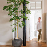 Buchida Bucera Shady Lady Baum Kunstpflanze XL 280cm - Finestgreen
