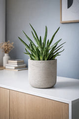 Blumentopf Charlie Grau Pflanzkübel aus Ton in Beton-Optik || Abgebildete Größe: S