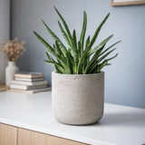 Blumentopf Charlie Grau Pflanzkübel aus Ton in Beton-Optik || Abgebildete Größe: S