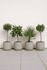 4x Charlie Grey Washed Ø:25 cm – Lifestyle-Aufnahme 4er-Set