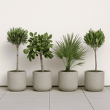 4x Charlie Grey Washed Ø:25 cm – Lifestyle-Aufnahme 4er-Set
