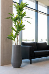 Nax Pflanzkübel Grau aus Fiberstone – im Lifestyle-Setting