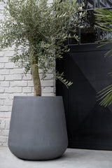 Pax Pflanzkübel Grau aus Fiberstone – Seitenansicht