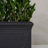 Jort Classic Schwarz - Finestgreen