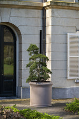 Jumbo Max Classic Taupe aus Fiberstone – XXL Pflanzkübel in Taupe Heritage-Optik