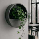 Bepflanzter Efeu Hedera Helix Wonder in einem hängenden Wandgefäß von Flora@Home, ideal für kleine Pflanzen.