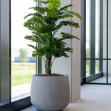 Monstera Pertusum Kunstpflanze L 140cm - Finestgreen