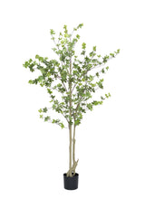Enkianthus perulatus Kunstpflanze M 180cm - Finestgreen