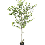 Enkianthus perulatus Kunstpflanze M 180cm - Finestgreen