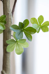 Enkianthus perulatus Kunstpflanze M 180cm - Finestgreen
