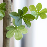 Enkianthus perulatus Kunstpflanze M 180cm - Finestgreen