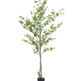 Enkianthus perulatus Kunstpflanze L 210cm - Finestgreen