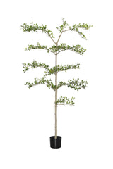 Buchida Bucera Shady Lady Baum Kunstpflanze L 180cm - Finestgreen