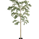 Buchida Bucera Shady Lady Baum Kunstpflanze XL 280cm - Finestgreen