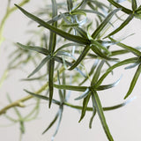 Queensland bottle Baum Kunstpflanze L 200cm - Finestgreen
