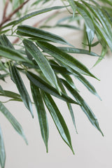 Ficus Alii Baum Kunstpflanze L 180cm - Finestgreen
