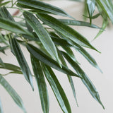 Ficus Alii Baum Kunstpflanze L 180cm - Finestgreen