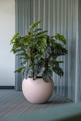 Monstera Pertusum Kunstpflanze L 140cm - Finestgreen