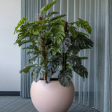 Monstera Pertusum Kunstpflanze L 140cm - Finestgreen