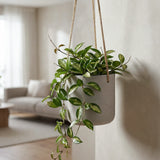 Hanging Charlie Grau Blumenampel aus Fiberclay in Beton-Optik || Abgebildete Größe: S