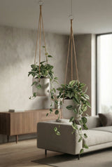 Hanging Charlie Set Grau – 2er Blumenampel-Set aus Fiberclay Größen XS & S || Abgebildete Größen: XS & S