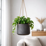 Hanging Patt Schwarz Blumenampel aus Fiberclay – Freisteller