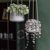 Hanging Patt Set Grau – Offenporige Fiberclay-Oberfläche in Beton-Optik || Offenporige Oberläche