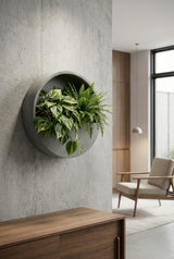 Hanging Wally Wandpflanzschale Grau aus Fiberstone – an der Wand montiert mit Pflanze