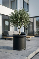 Jumbo Max Classic Schwarz - Finestgreen || Abgebildete Größe: M