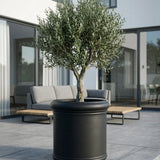 Jumbo Max Classic Schwarz - Finestgreen || Abgebildete Größe: M