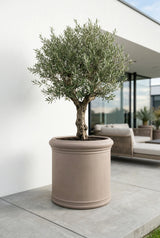 Jumbo Max Classic Taupe - Finestgreen || Abgebildete Größe: M