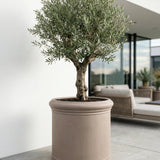 Jumbo Max Classic Taupe - Finestgreen || Abgebildete Größe: M