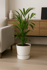 4er Pflanzenset Tierfreundlich Finestgreen