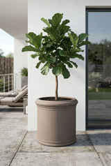 Max Classic Pflanzkübel Taupe aus Fiberstone – konisch-hoher Kübel Outdoor
