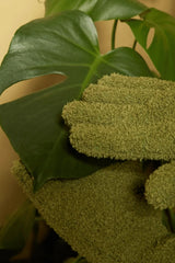 Mikrofaser-Staubsaugerhandschuhe - Finestgreen