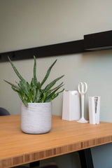 Blumentopf Charlie Grau Pflanzkübel aus Ton in Beton-Optik || Robustes Material aus Zementbeton & Glasfasern