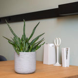 Blumentopf Charlie Grau Pflanzkübel aus Ton in Beton-Optik || Robustes Material aus Zementbeton & Glasfasern