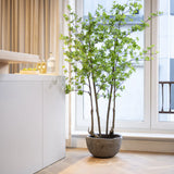 Enkianthus perulatus Kunstpflanze M 180cm - Finestgreen
