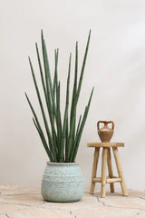 Sansevieria Cylindrica Kunstpflanze L 180cm - Finestgreen