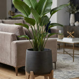 Patt Black Washed Feet Low Pflanzkübel Schwarz auf niedrigen Holzfüßen aus Fiberclay || Abgebildete Größe: XXL