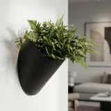 Hanging Wally Puk Wandpflanzschale Schwarz aus Fiberstone – runde Wandschale freigestellt