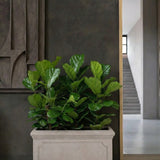 Jort Classic Taupe Finestgreen