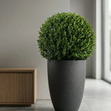 Ben Pflanzkübel Midnight Schwarz aus Fiberstone Granite – im Lifestyle-Setting